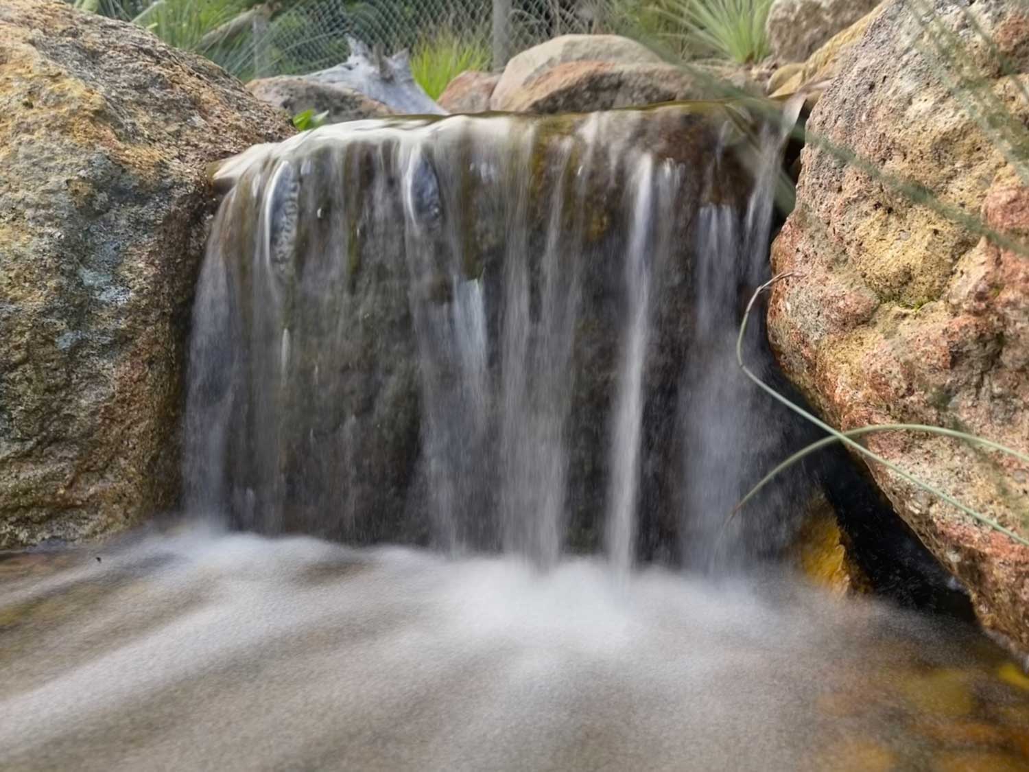 Pondless Waterfalls – Reach Rock Art